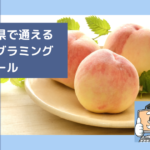 福島県で子供の通えるプログラミングスクールを選ぶならココ!小学生におすすめの教室一覧